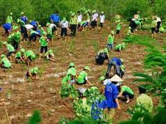 Việc làm ứng phó với biến đổi khí hậu